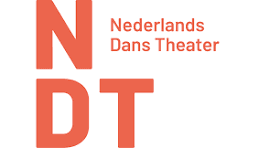 Samenwerkingspartner logo - Diamond Fysio Amsterdam